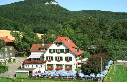 Schlosshof Dornach
